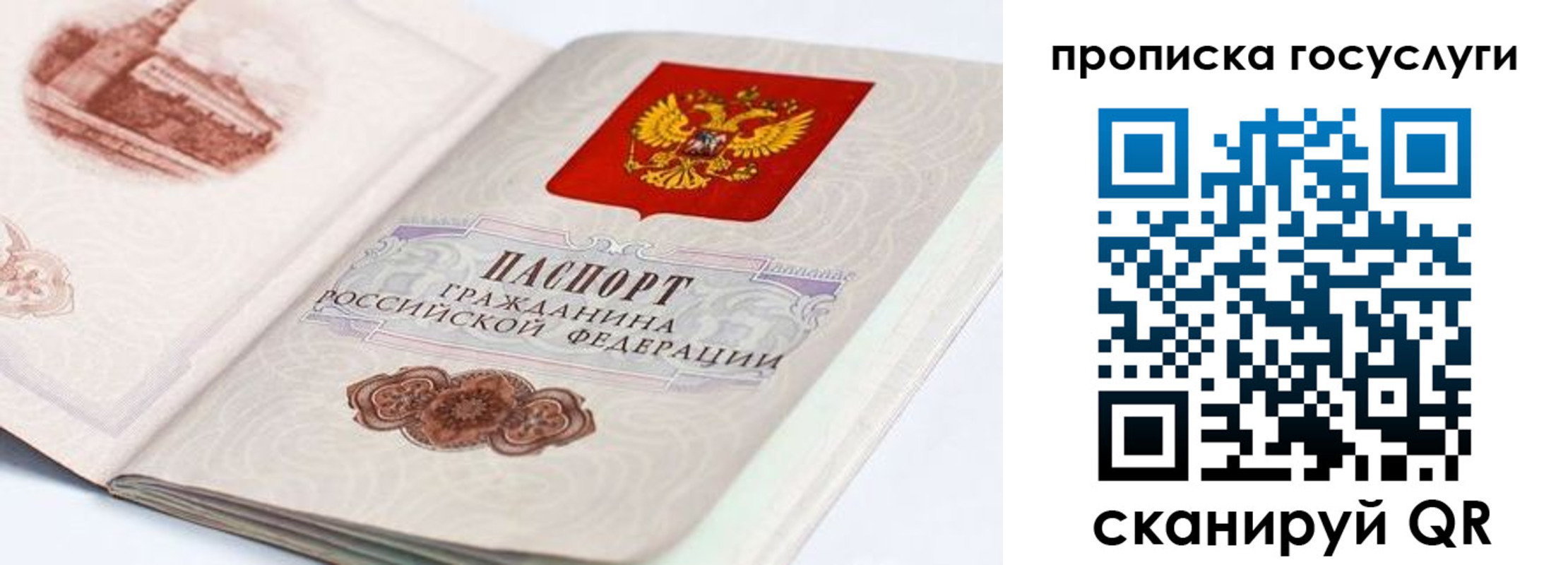 прописка гарантия в Поронайске